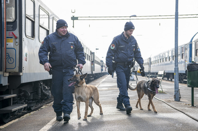 A RAILPOL 24 órás akciójában 730 vasútállomást és 650 vonatot ellenőriztek 