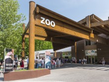Nyíregyháza Zoo