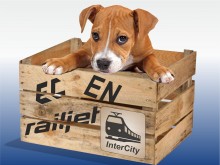 Kisállatszállítás