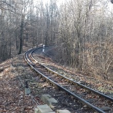 Napsütéses túra Normafa-Budakeszi útvonalon