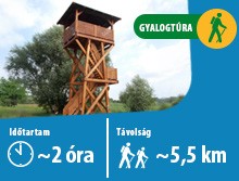 MÁV, SZESZA, Sáriék a vonaton, Rákoskert