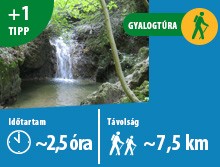 MÁV, SZESZA, Sáriék a vonaton, Solymár