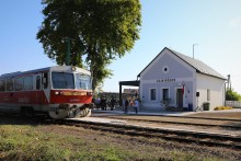 Vaja-Rohod