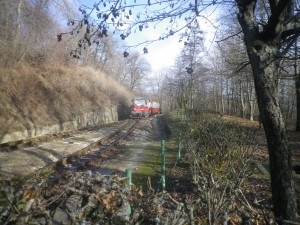 Szerelvény érkezik Szépjuhászné állomásra Hűvösvölgy felöl. 2019.12.28. Normafa-Lipótmező VSC túra. Fotó: Sándor Tibor