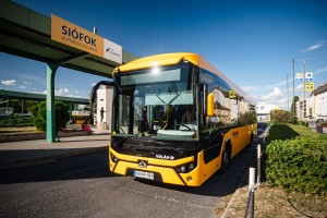 busz