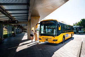 busz