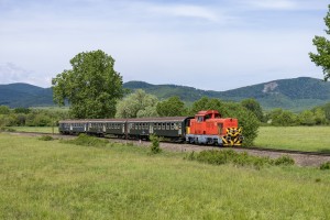 M43 1137 olajzöld szerelvénnyel M43 1137 olajzöld szerelvénnyel