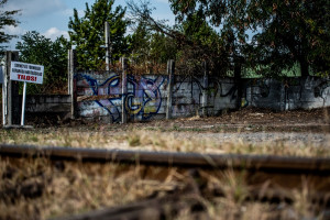 „Tisztítsuk meg az országot!” projekt