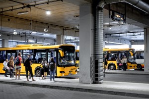 busz