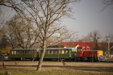 Kisvasúti vonat