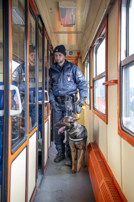 A RAILPOL 24 órás akciójában 730 vasútállomást és 650 vonatot ellenőriztek 