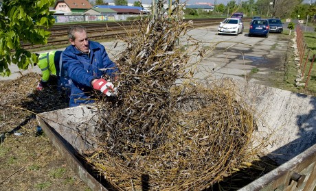 MÁV hulladékgyűjtés2 20170421