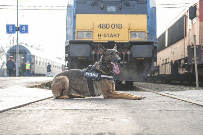 A RAILPOL 24 órás akciójában 730 vasútállomást és 650 vonatot ellenőriztek 