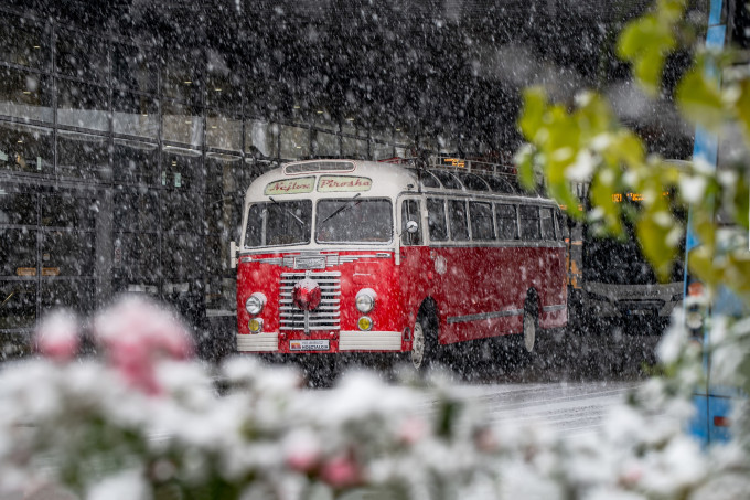 Ikarus 30-as „Nejlon Piroska”