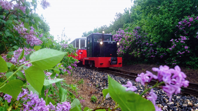 Nosztalgiavonat C50-es mozdonnyal